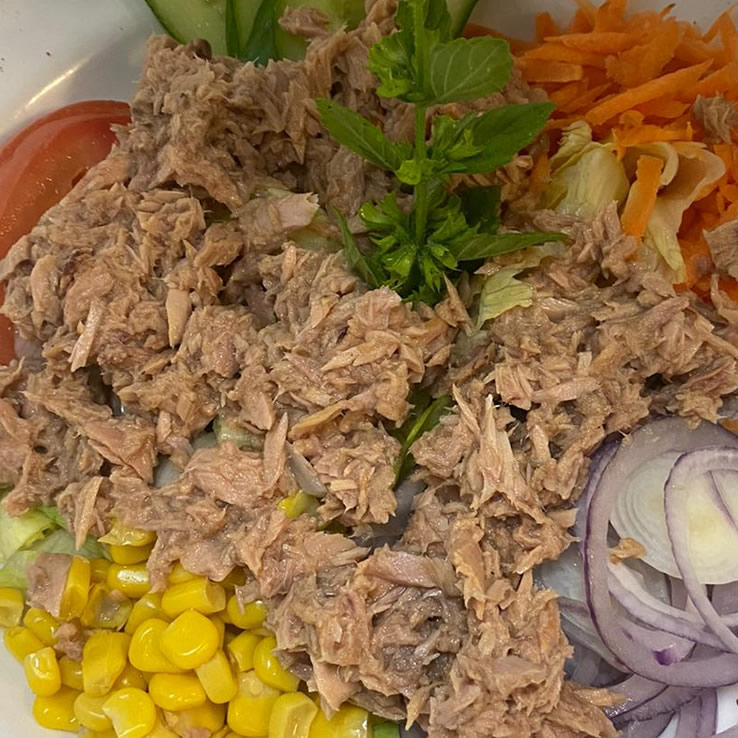 terra mare ristorante menu